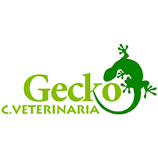 imgi_282_Gecko_C.Veterinaria