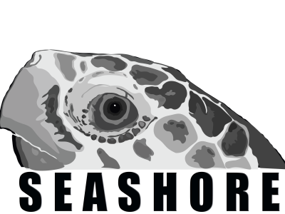 imgi_328_Seashore