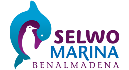 imgi_332_Selwo-Marina-PNG