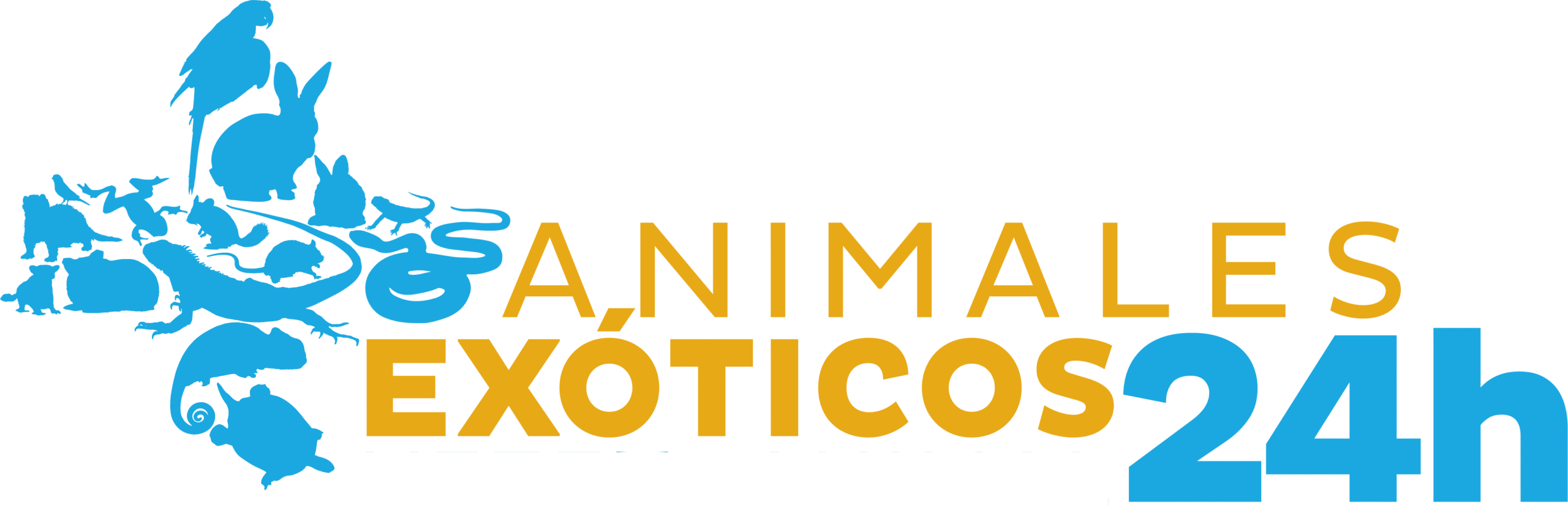 imgi_356_logo-vectorizado